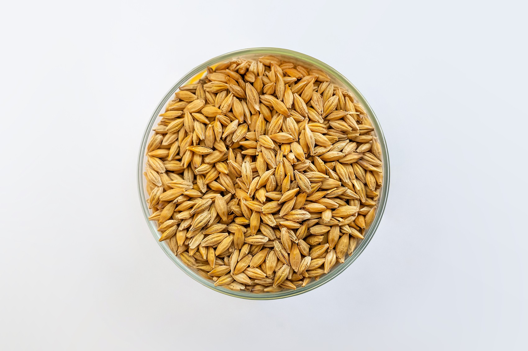 barley