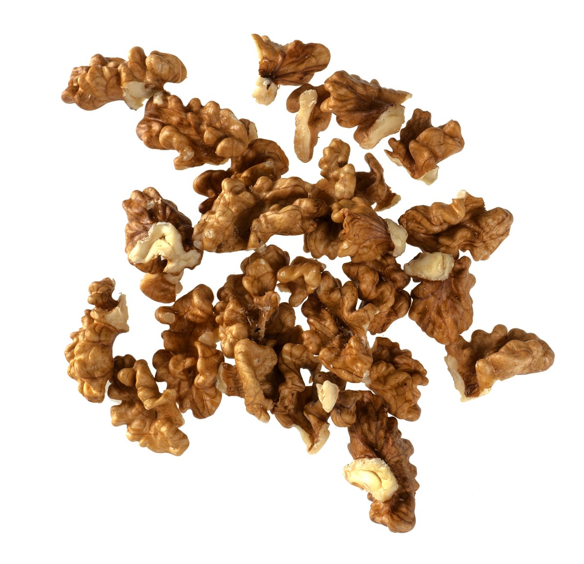 walnut kernel